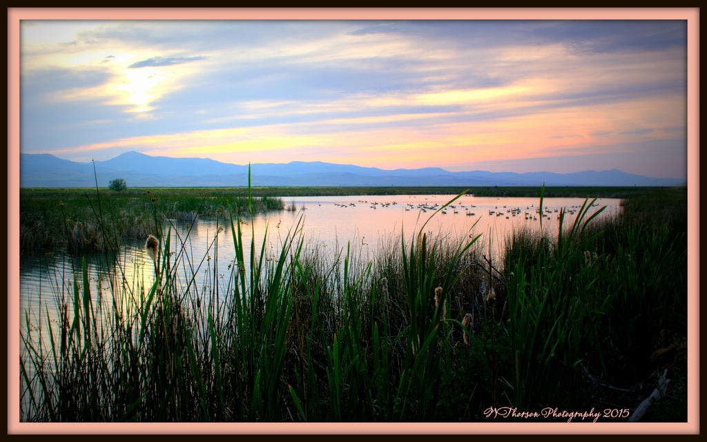 Bear Lake Geese and Sunset 2015.jpg