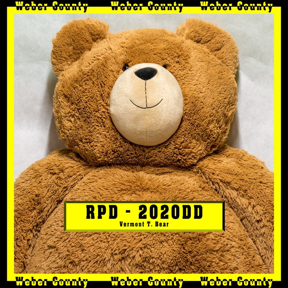 Bear Mug Shot.jpg