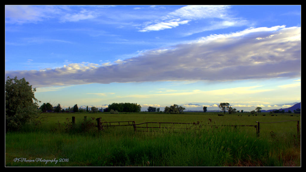 Bear River Field 6-11-2016.jpg