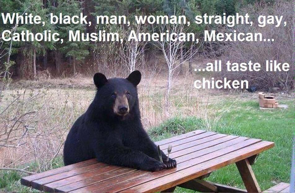bearchicken.jpg