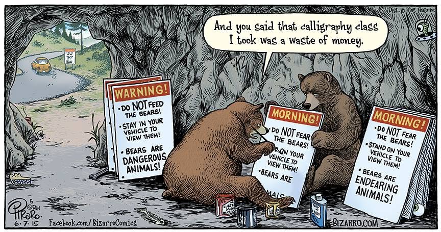 BEARS.jpg