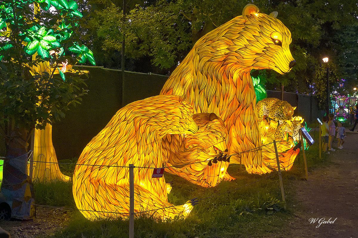 Bears2 sm.jpg