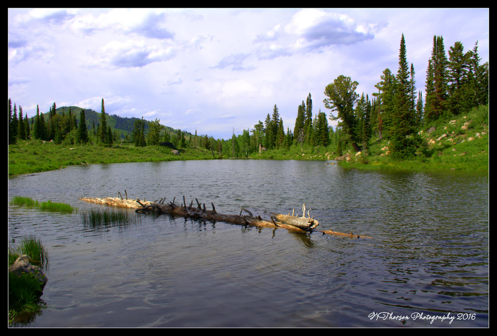 Beaver Pond at Bloomington Lake #2  7-5-2016.jpg