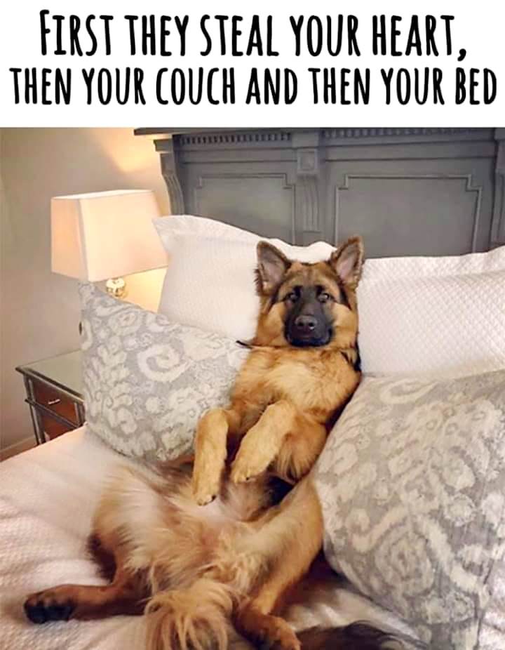 bed.jpg