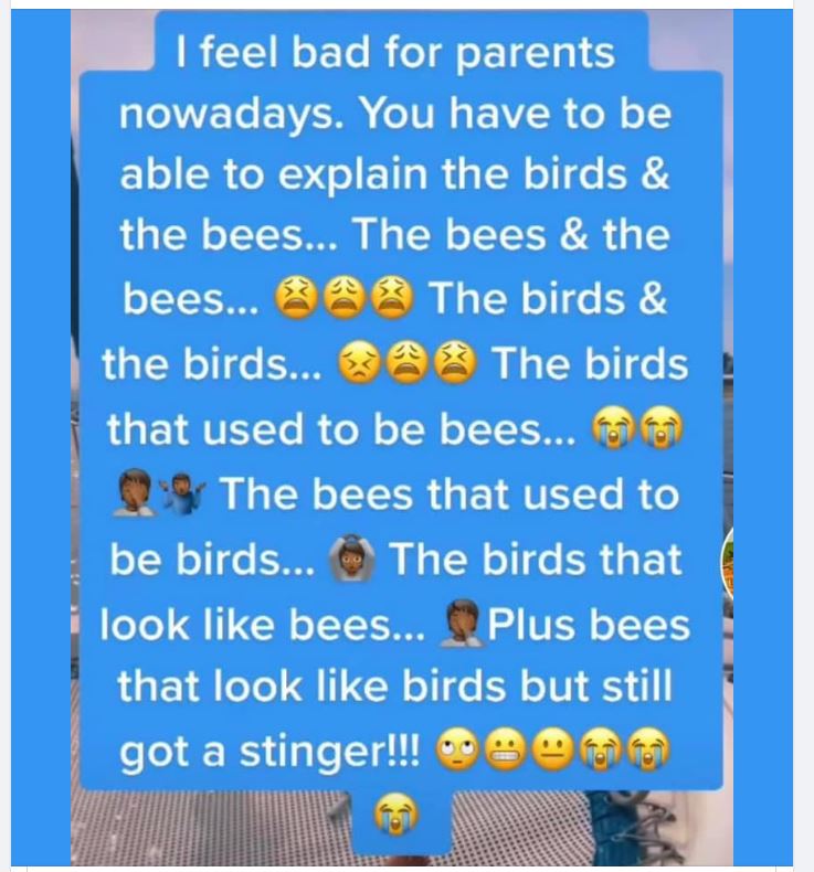 bees.JPG