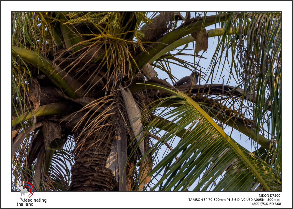 behind-brenches-1.jpg