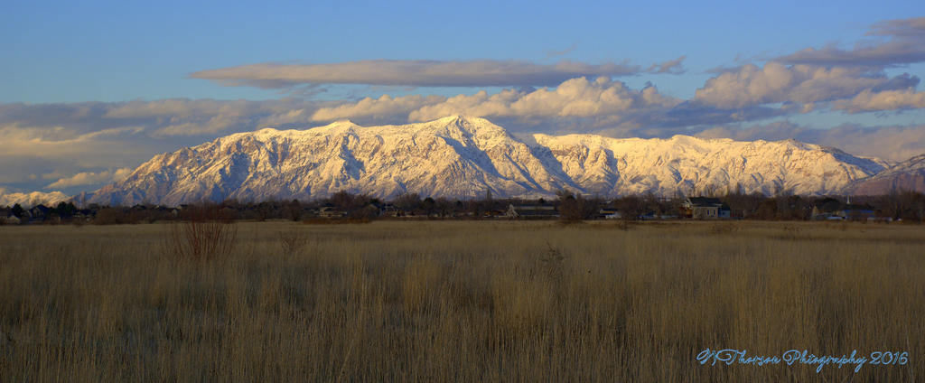 Ben Lomond in the Evening 12-12-2016.jpg