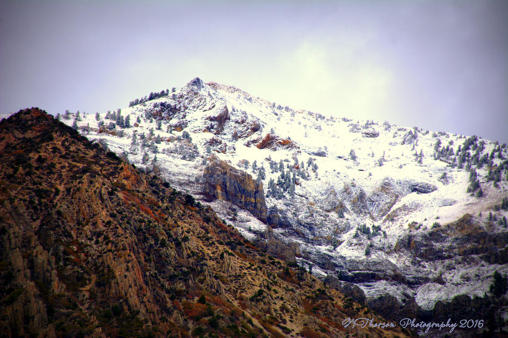 Ben Lomond Mountain 10-17-2016.jpg