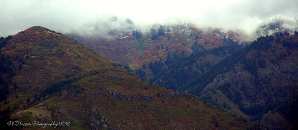 Ben Lomond Mountain #2 9-24-2016.jpg
