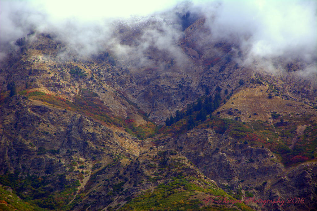 Ben Lomond Mountain #4 9-24-2016.jpg