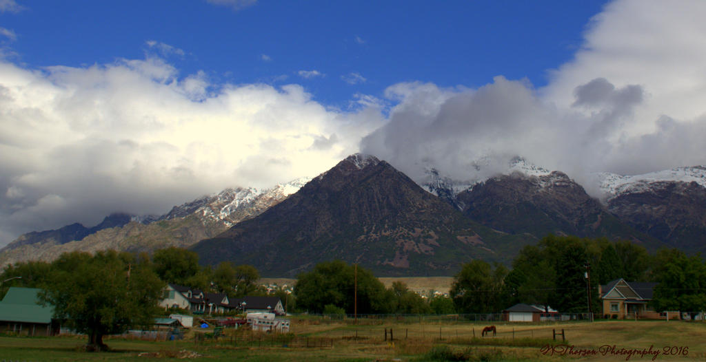 Ben Lomond Mountain #5 9-24-2016.jpg