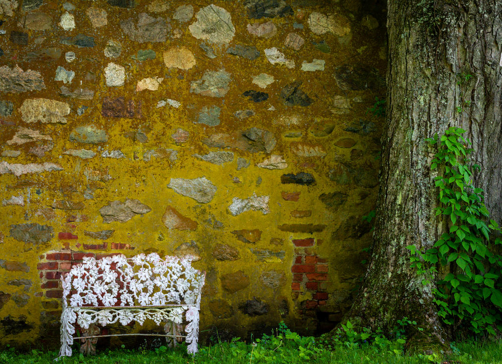 Bench and Wall (1 of 1).jpg