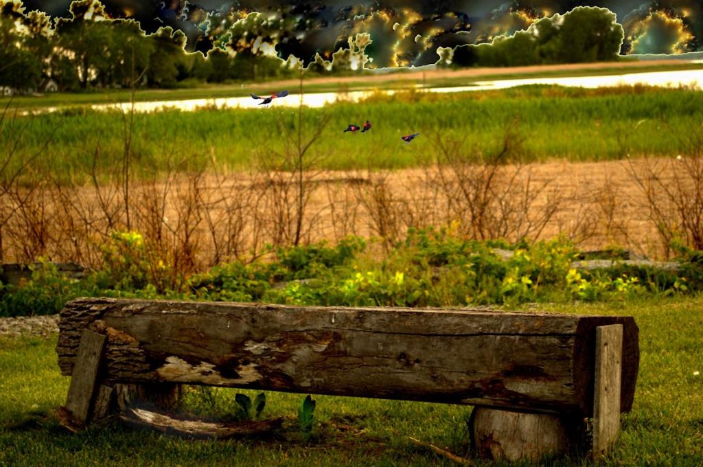 Bench.jpg