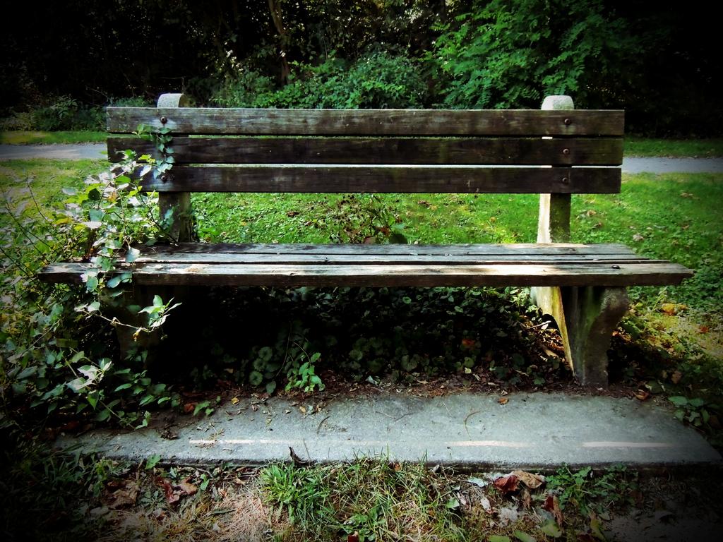 bench.jpg