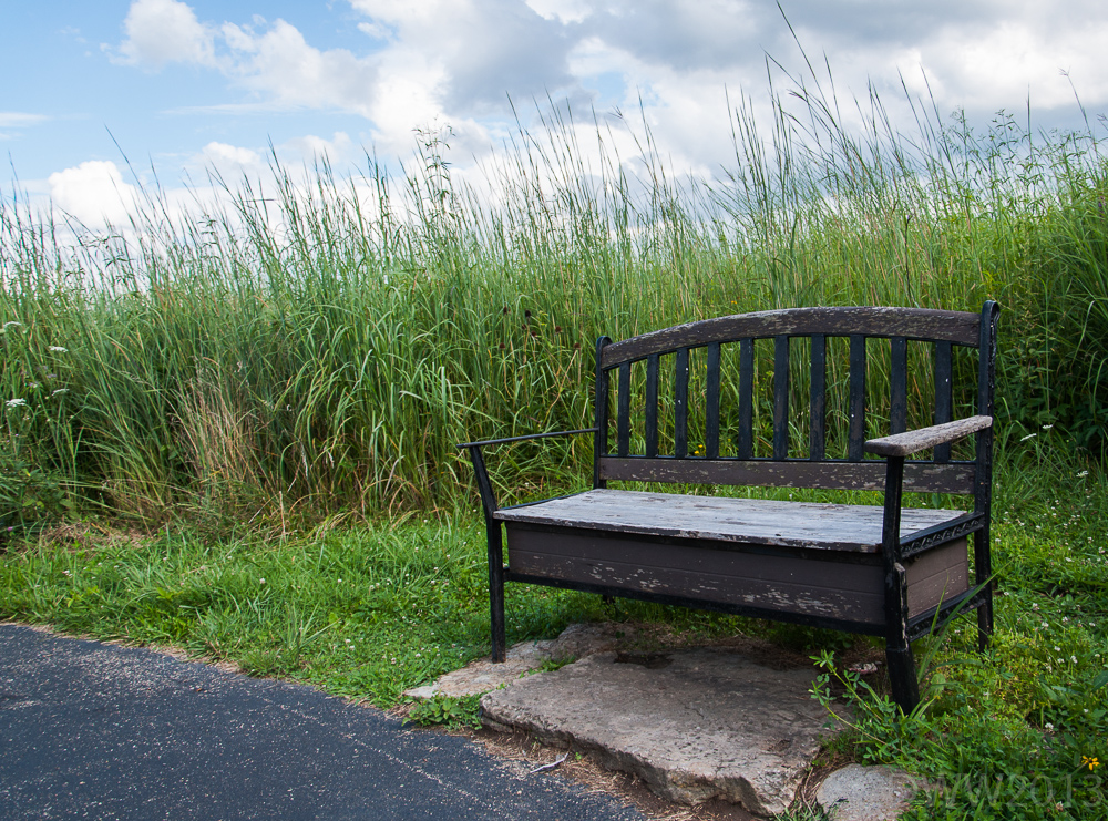 bench seat (1 of 1).jpg