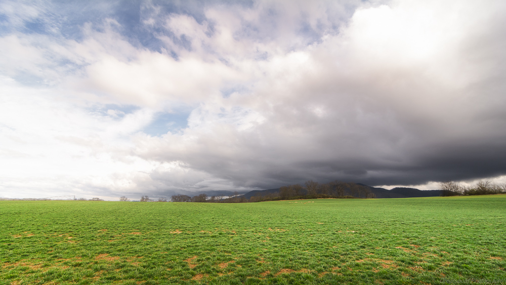 Benton,Tn area--3.jpg