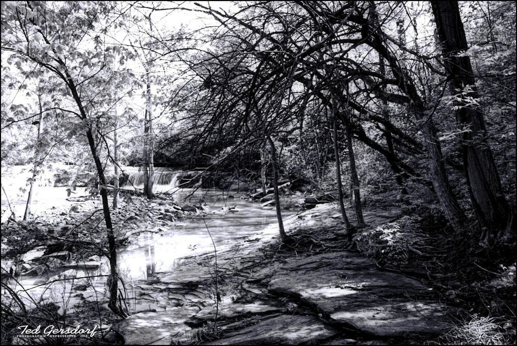 Berea Falls Landscape 1a BW.jpg