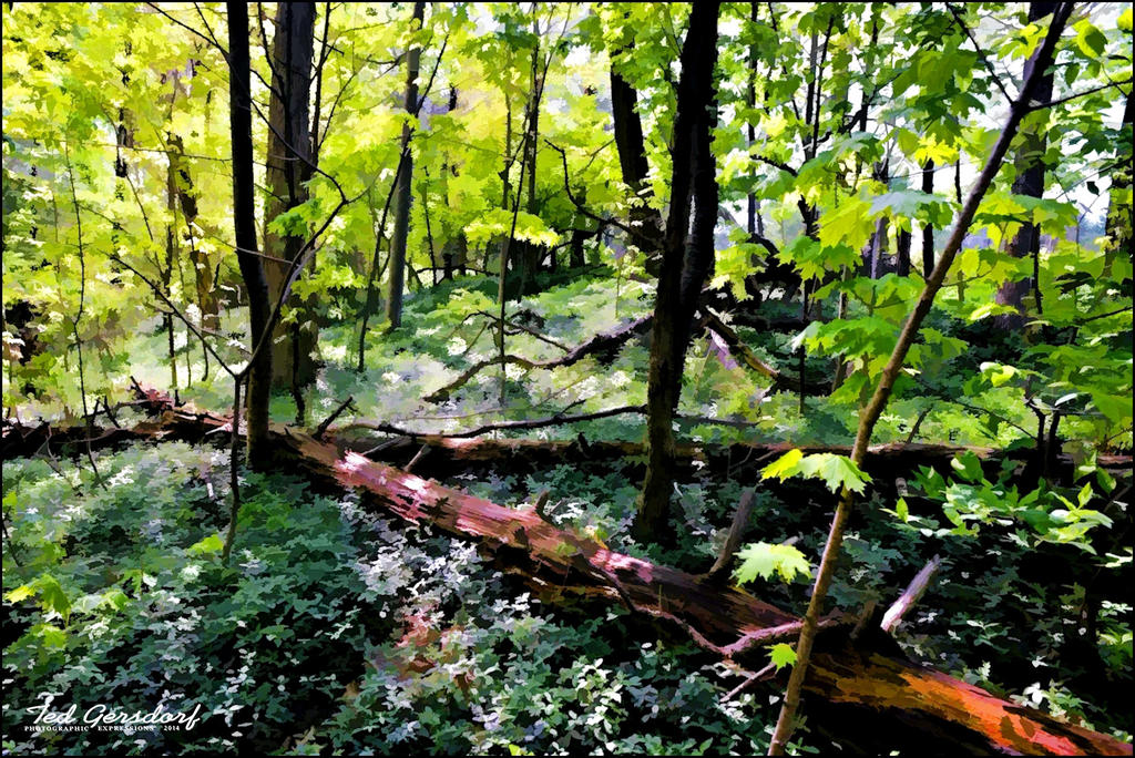 Berea Falls Landscape 4b.jpg