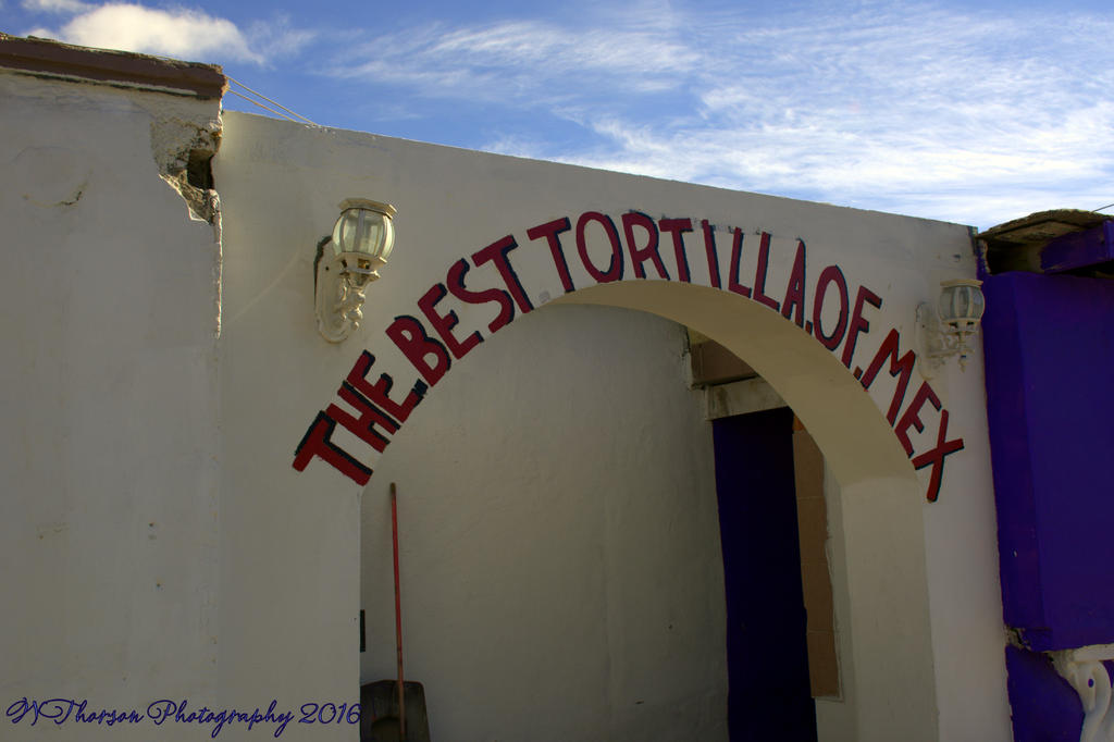 Best Tortilla 12-31-2016.jpg