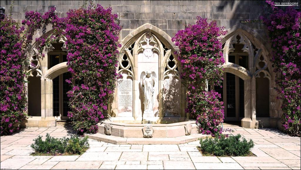 Bethesda Church 2-20-15   19.jpg