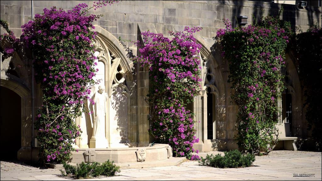 Bethesda Episcopal Sum of its Parts   4.jpg
