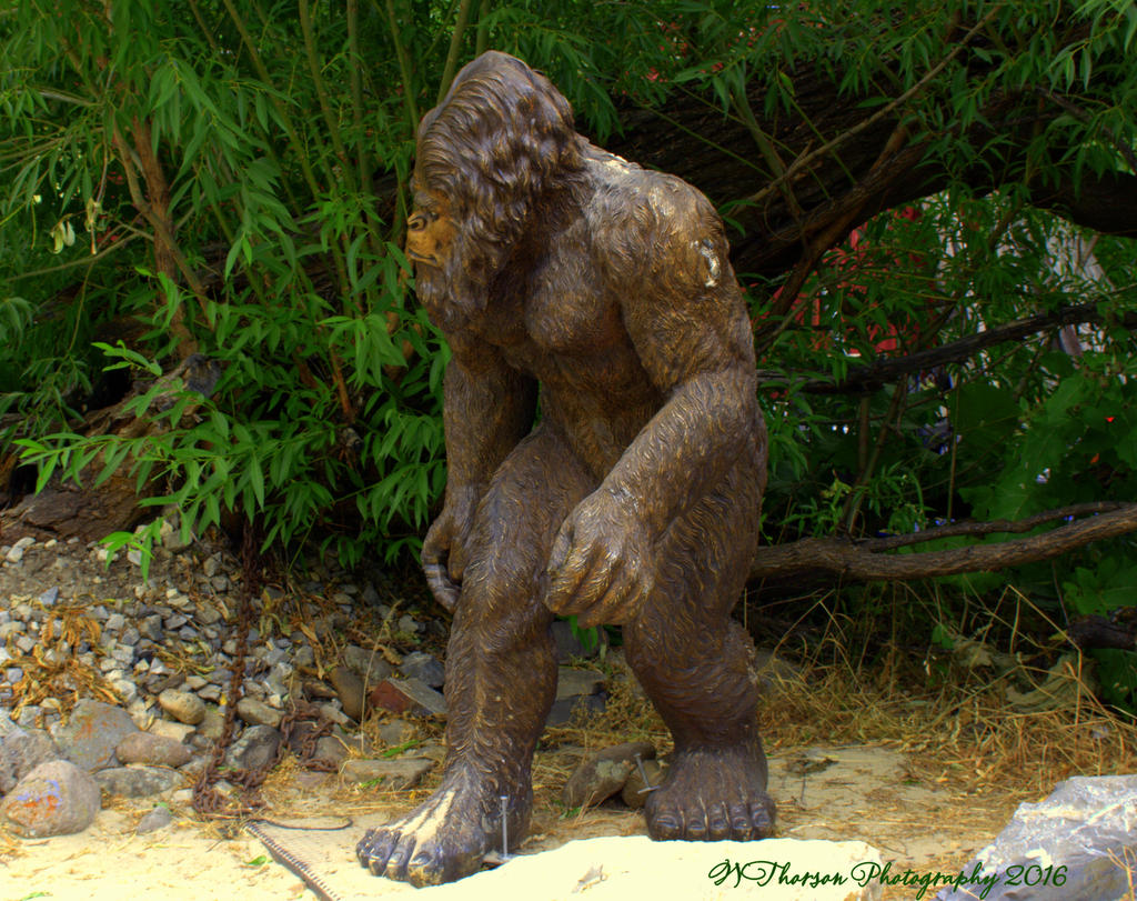 Big Foot 7-18-2016.jpg