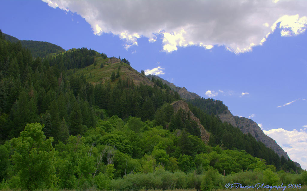 Big Foot Territory #2  7-18-2016.jpg