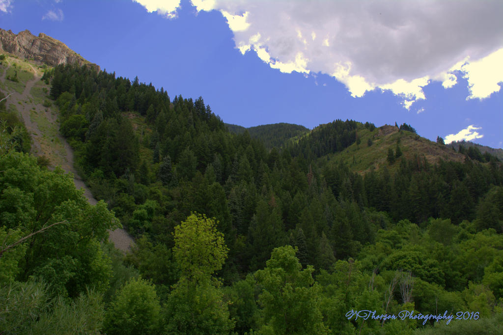 Big Foot Territory 7-18-2016.jpg