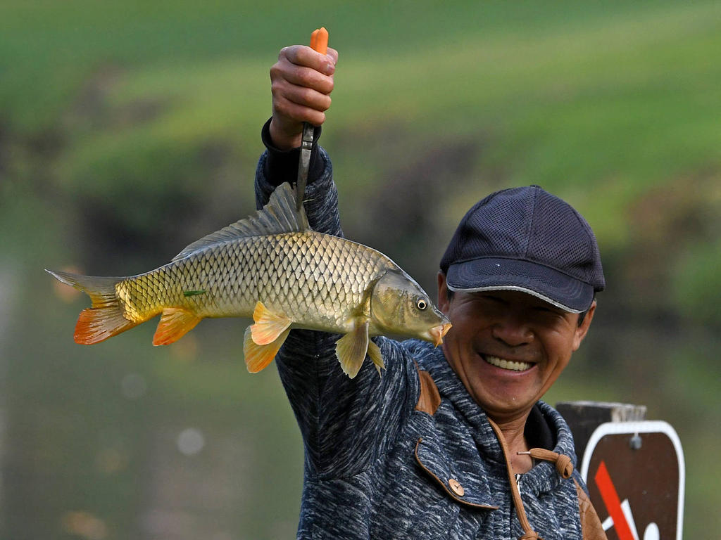 BigFish2.jpg