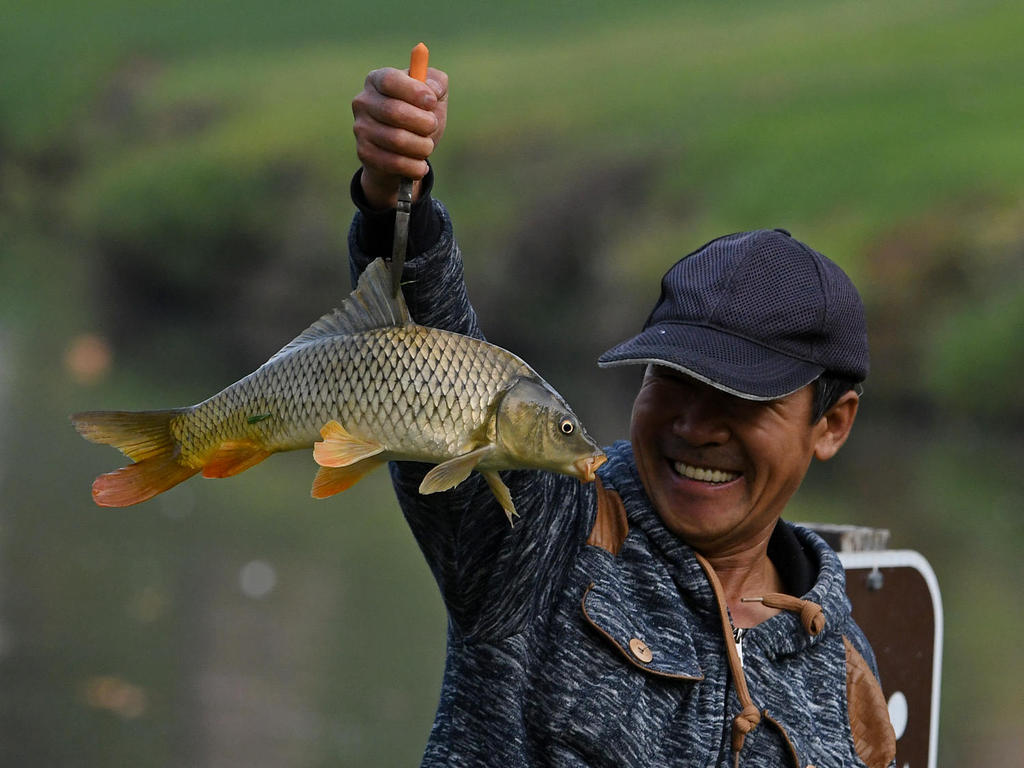 BigFish3.jpg