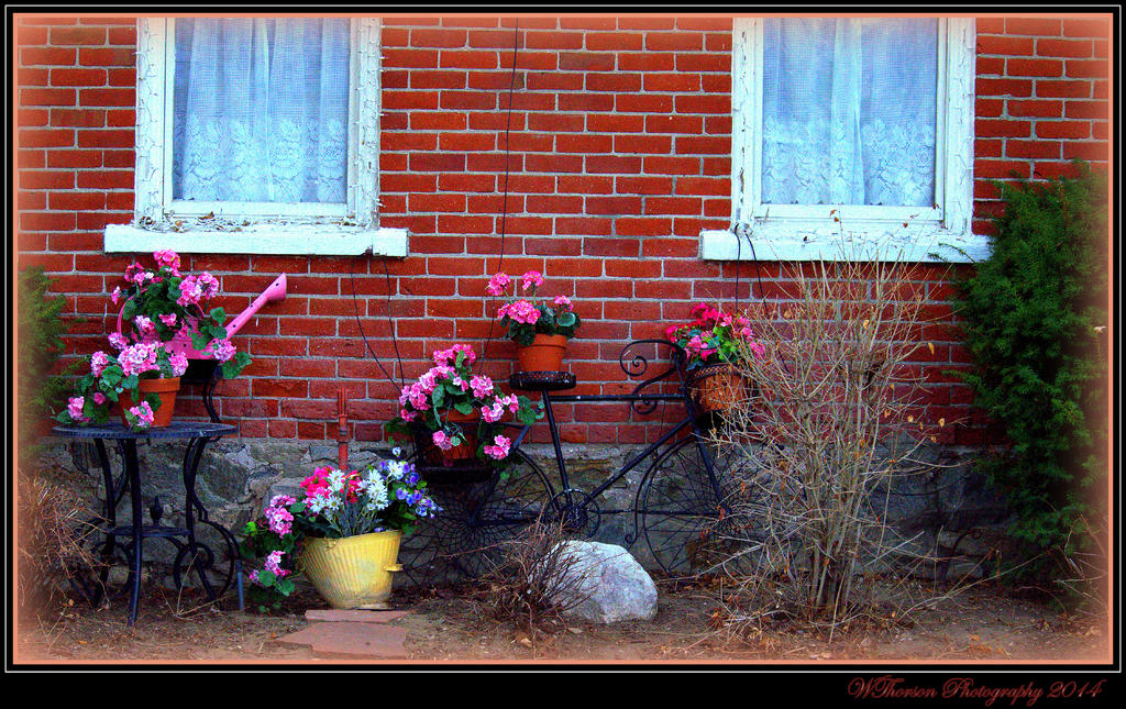 Bike leaning against Old Victorian.jpg