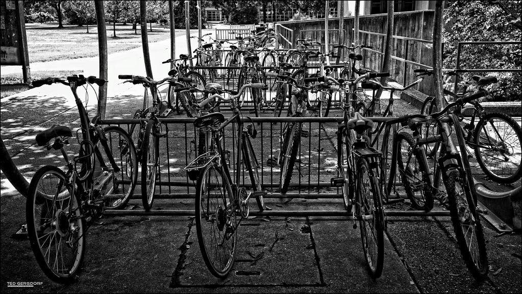 Bikes and Bikes and Bikes BW.jpg