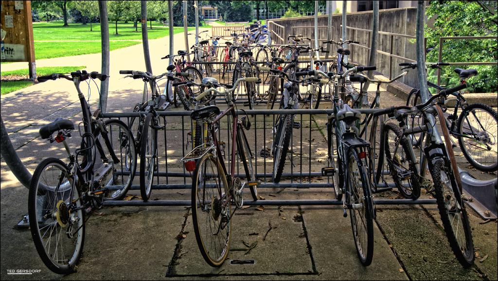 Bikes and Bikes and Bikes.jpg