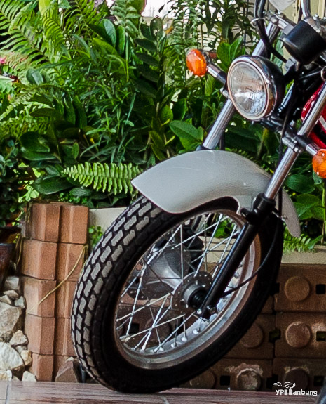 bikes-crop-1.jpg