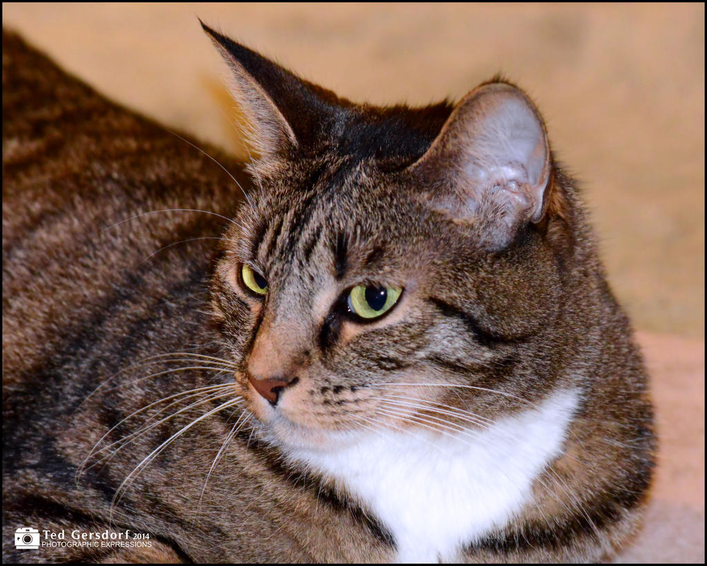 Bill 3-19-14 B.jpg
