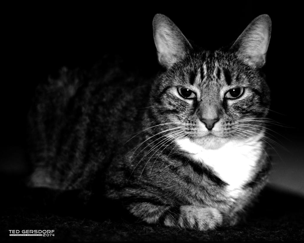 Bill 8-2-14    3BW_00007.jpg