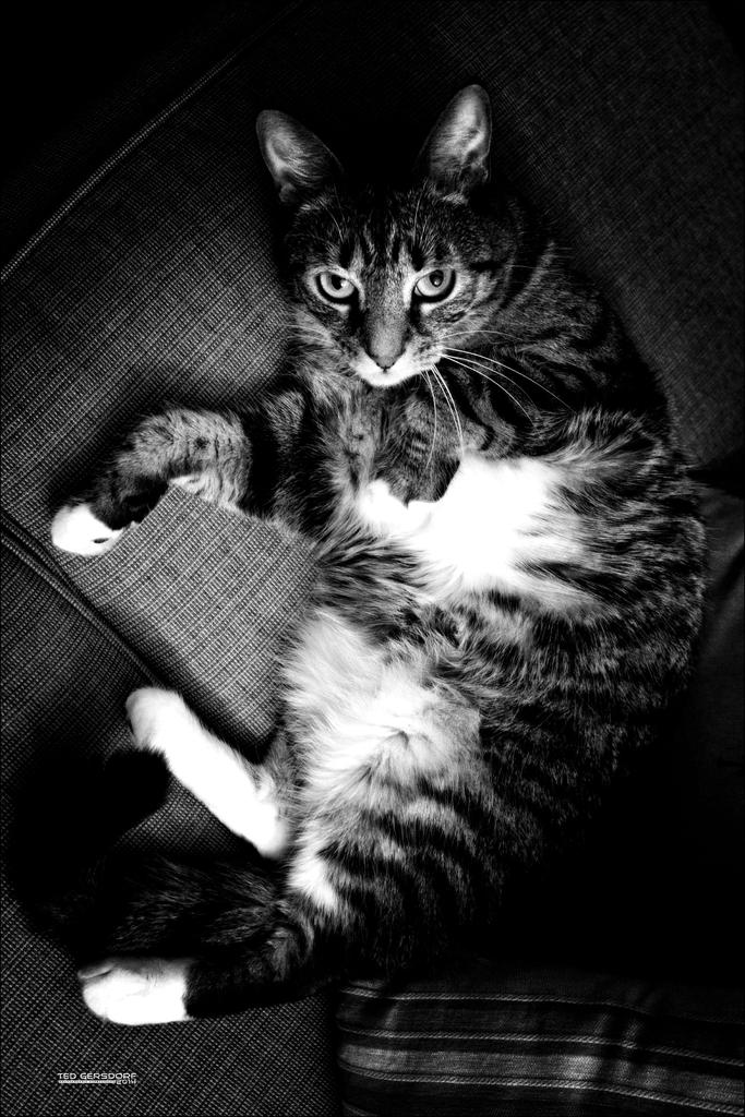 Bill in Black and White.jpg