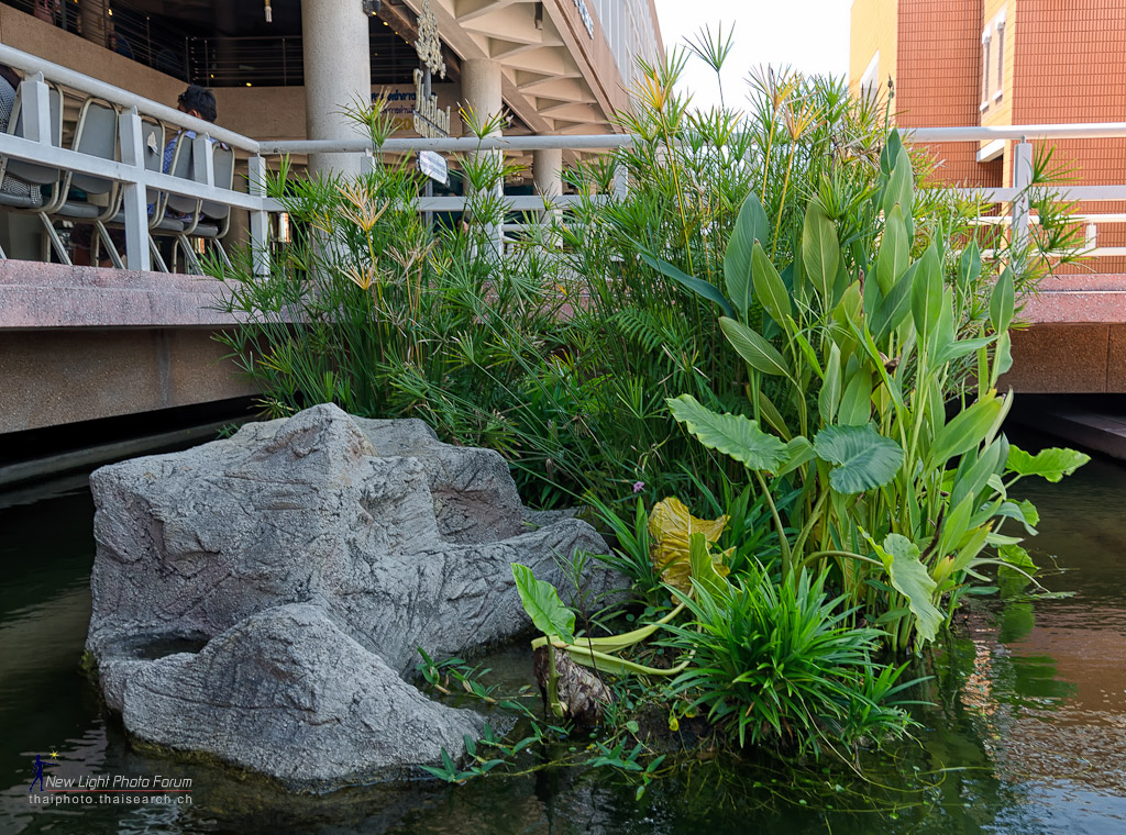 biotope-1.jpg