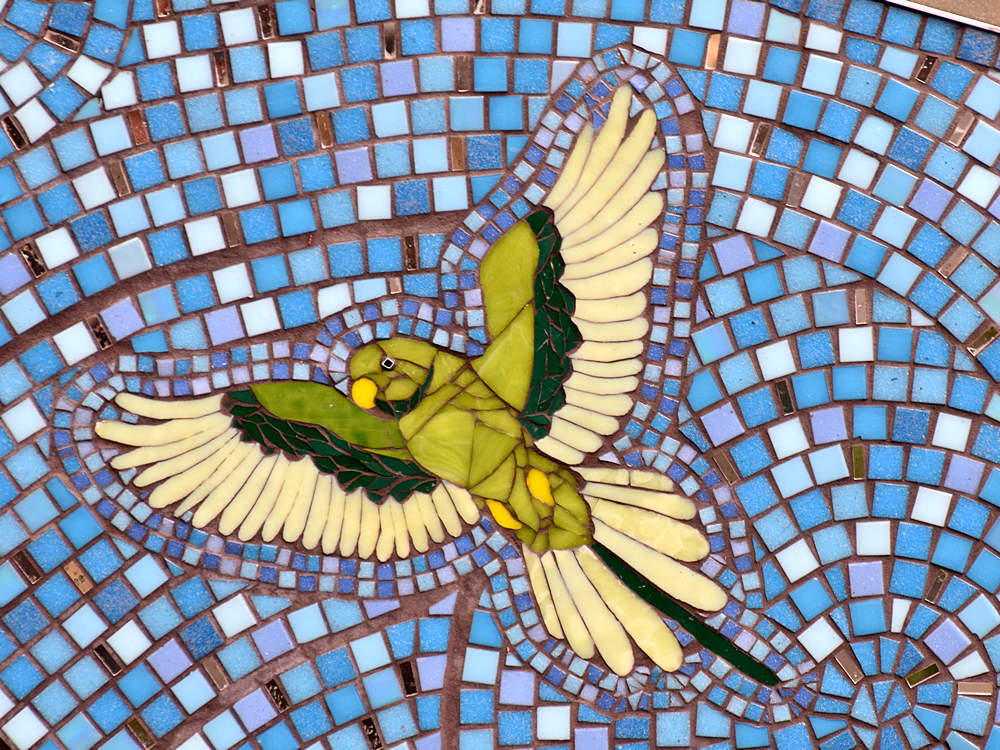 Bird.jpg
