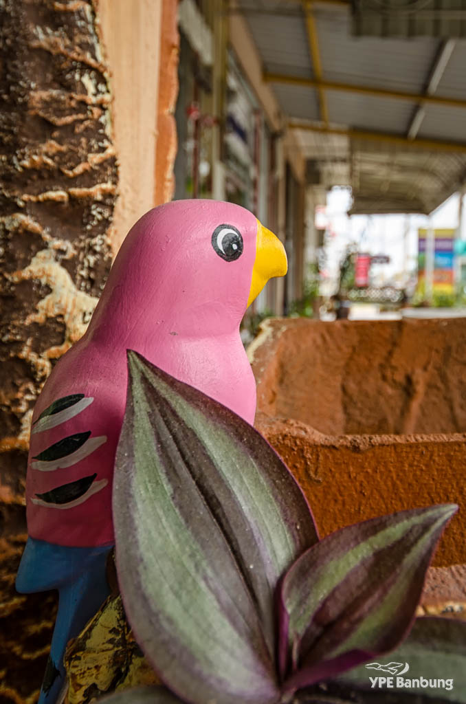 bird=pink.jpg