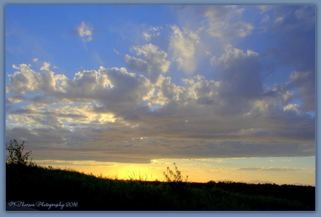 Bird Refuge Sunset © Wendy Thorson 5-8-2016.jpg