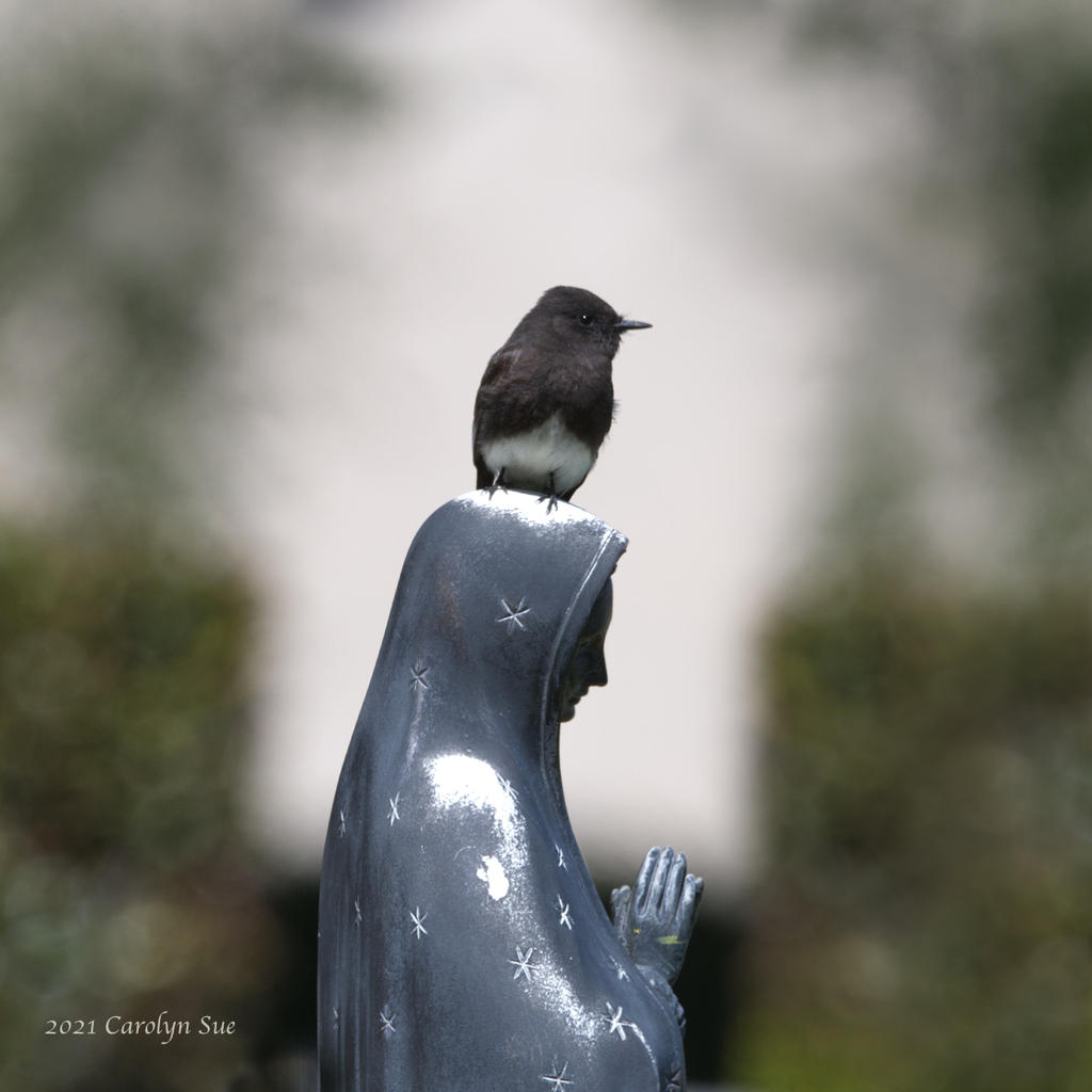 bird statue_4092.jpg