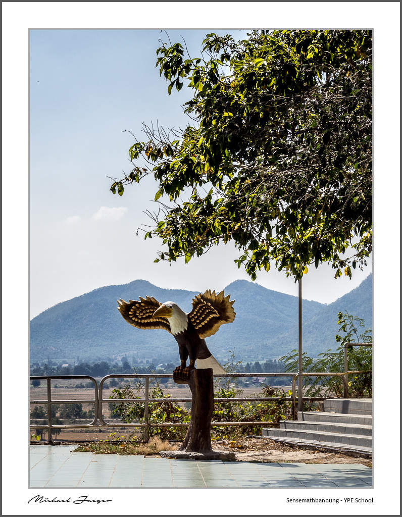 bird-tree-1.jpg