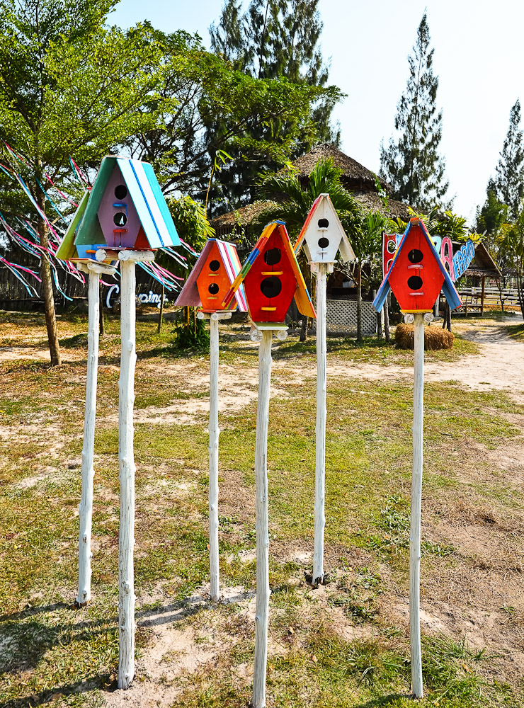 birdhouse-1.jpg
