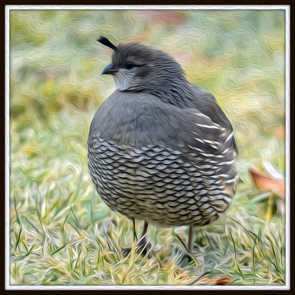 BIRDOIL.jpg