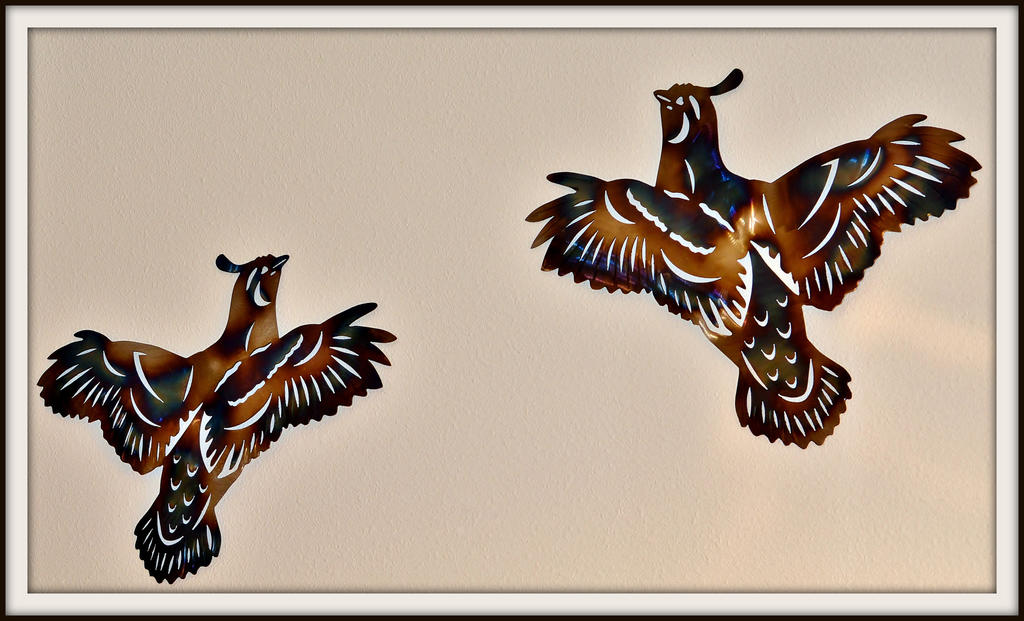 birds 056-001.jpg