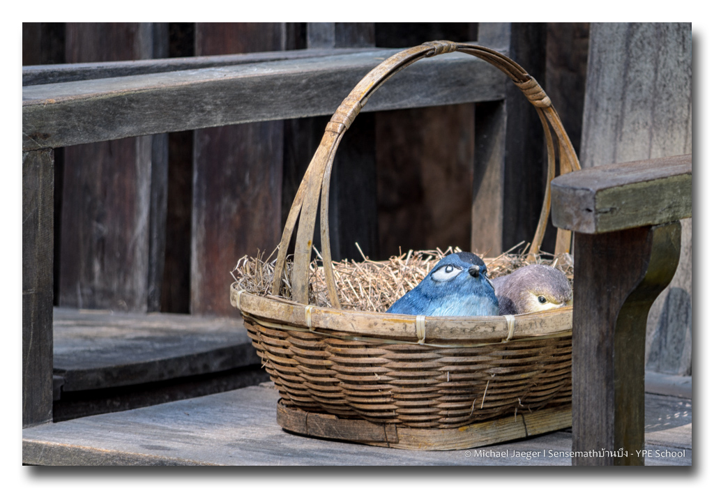 birds-in-basket-1.jpg