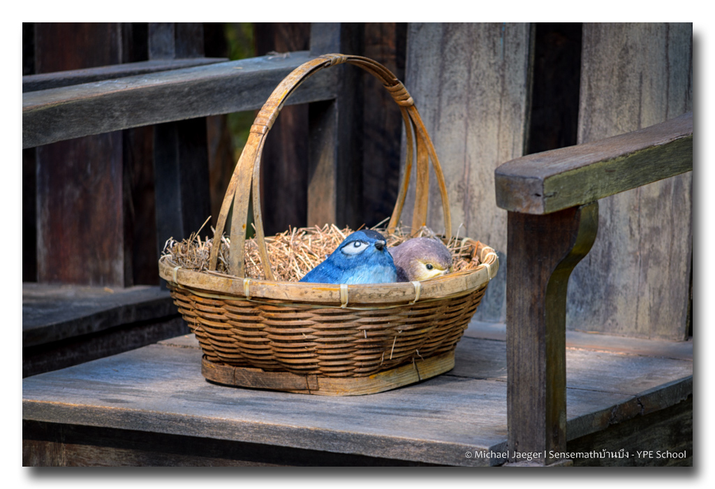 birds-in-basket-2.jpg