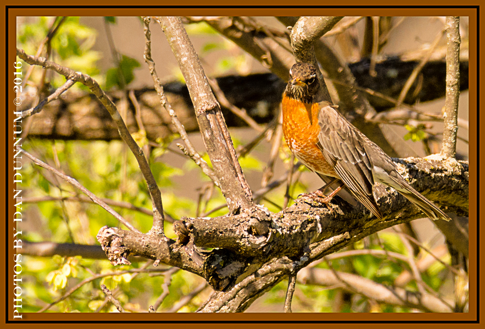 BirdWatching-4465-Edit.jpg