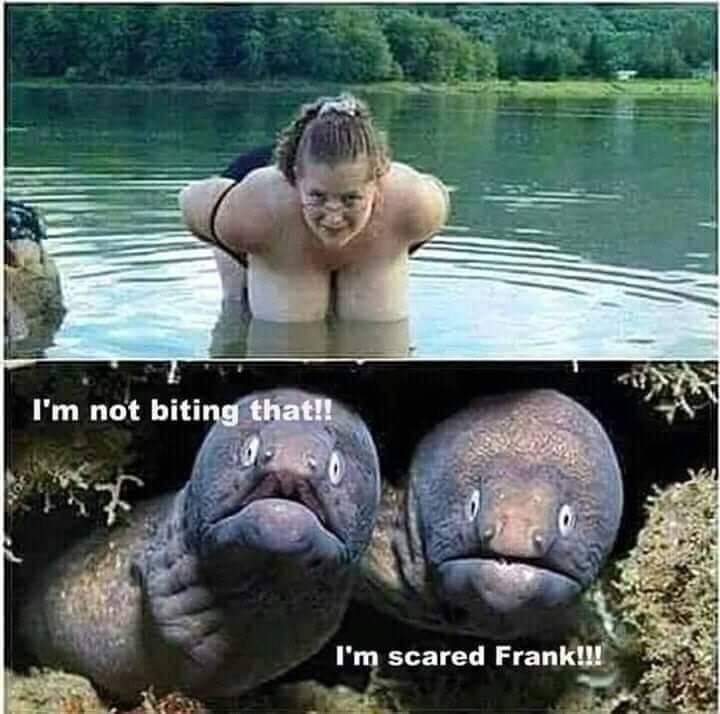 bite.jpg